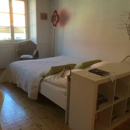 Zum Gruenen Lindenbaum Z5B Apartamento Lago de Constança Exterior foto