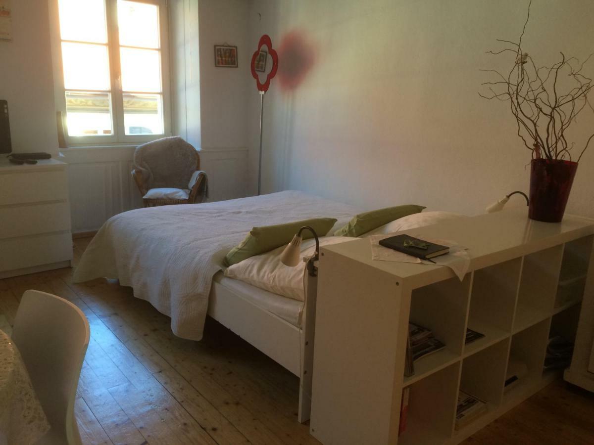 Zum Gruenen Lindenbaum Z5B Apartamento Lago de Constança Exterior foto